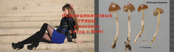 кристаллы Абаза